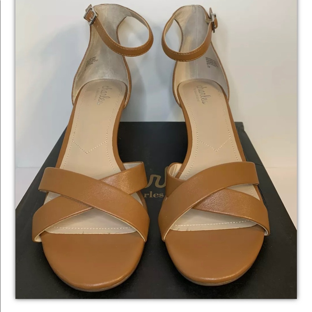 Brand New Charles by Charles David Griffin Wedge Sandals